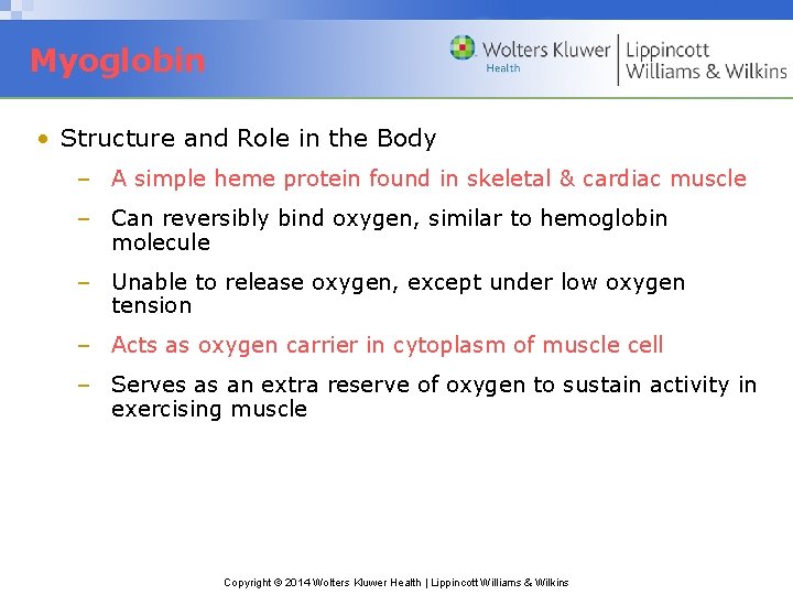 Myoglobin • Structure and Role in the Body – A simple heme protein found