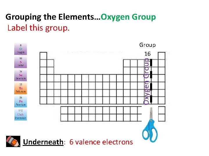 Grouping the Elements…Oxygen Group Label this group. Oxygen Group 16 Underneath: 6 valence electrons