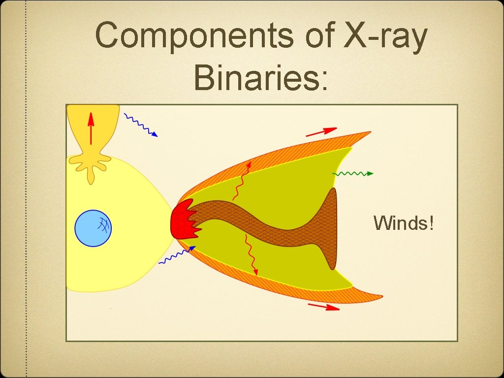 Components of X-ray Binaries: Winds! 