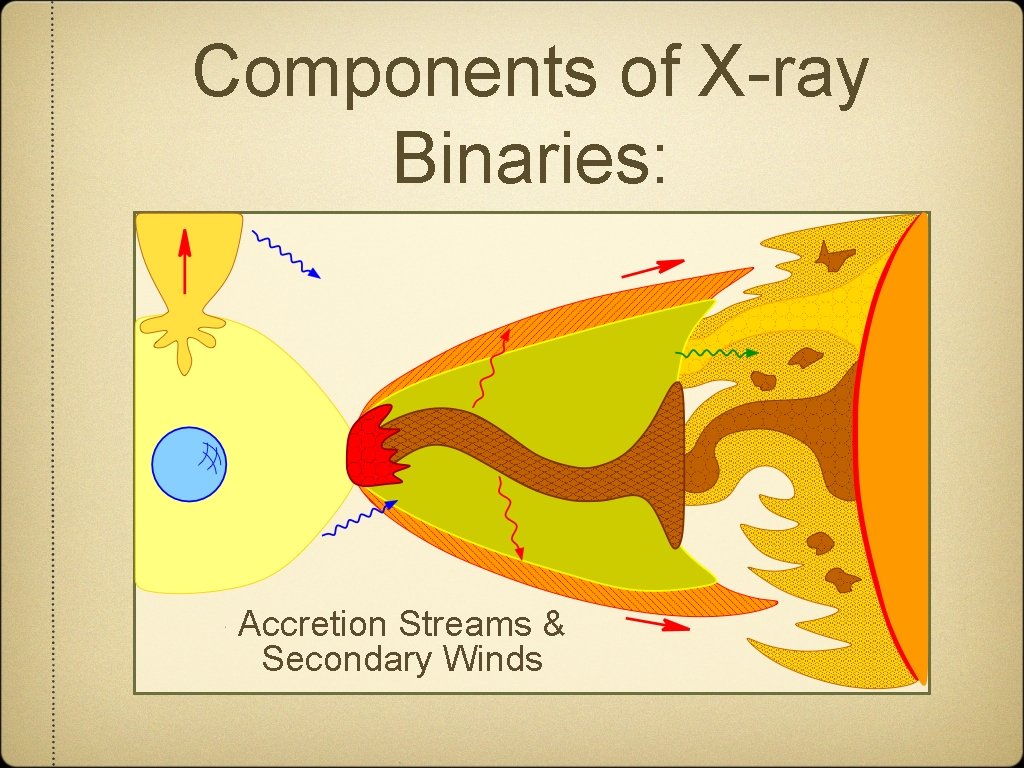 Components of X-ray Binaries: Accretion Streams & Secondary Winds 