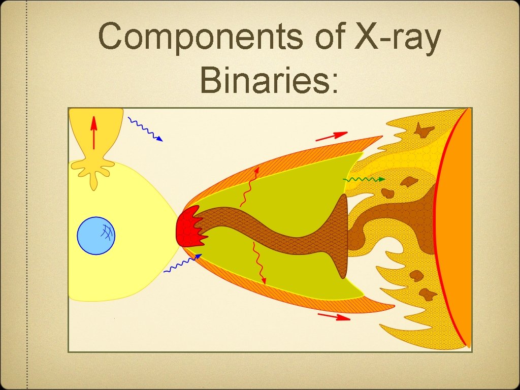 Components of X-ray Binaries: 