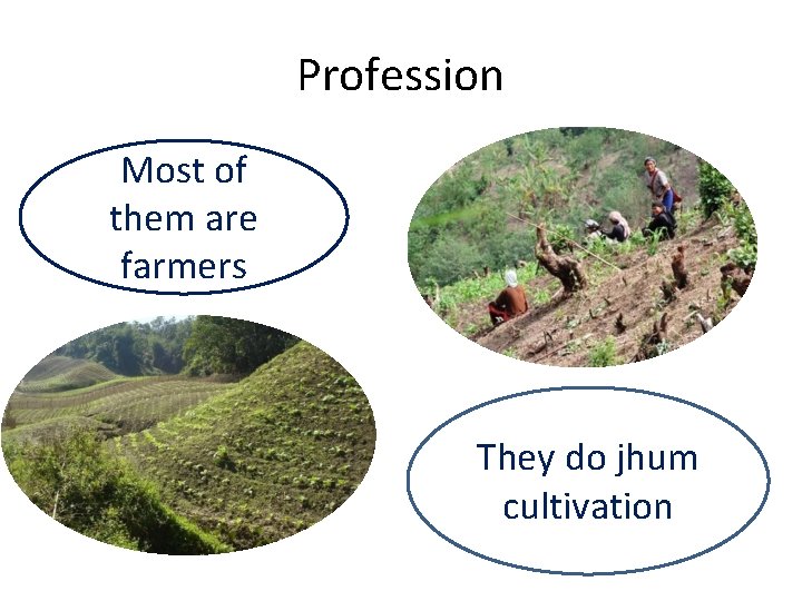 Profession Most of them are farmers They do jhum cultivation 