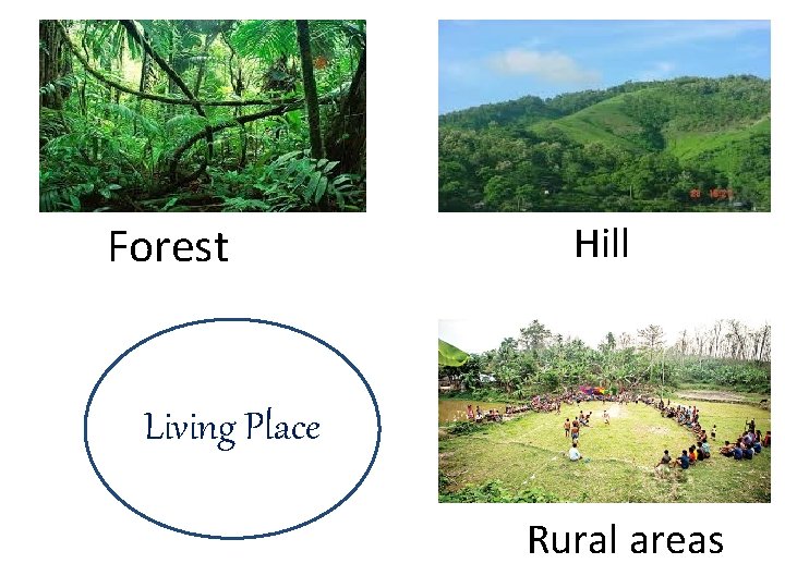 Forest Hill Living Place Rural areas 