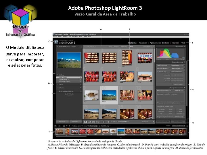 Adobe Photoshop Light. Room 3 Visão Geral da Área de Trabalho O Módulo Biblioteca
