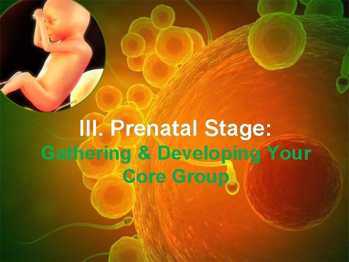 III. Prenatal Stage: Gathering & Developing Your Core Group 