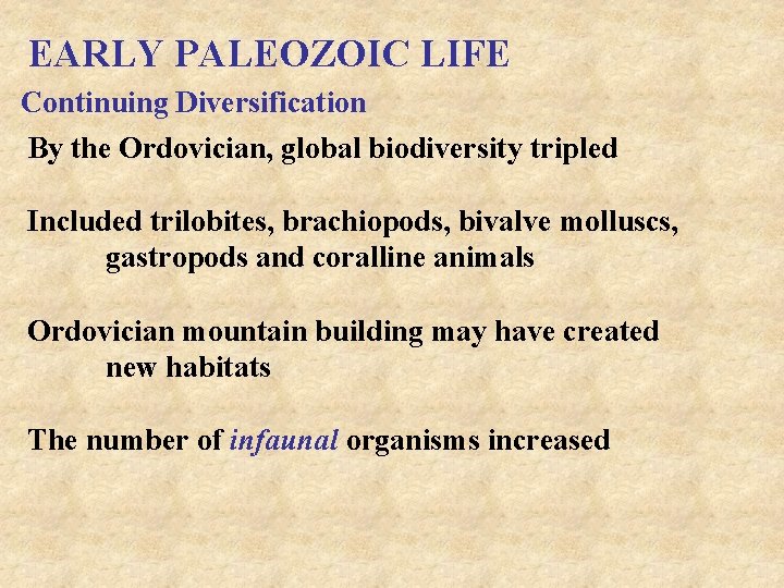 EARLY PALEOZOIC LIFE Continuing Diversification By the Ordovician, global biodiversity tripled Included trilobites, brachiopods,