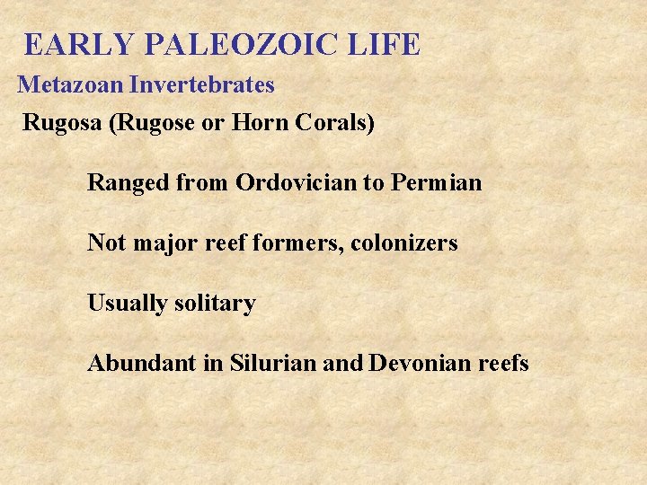 EARLY PALEOZOIC LIFE Metazoan Invertebrates Rugosa (Rugose or Horn Corals) Ranged from Ordovician to