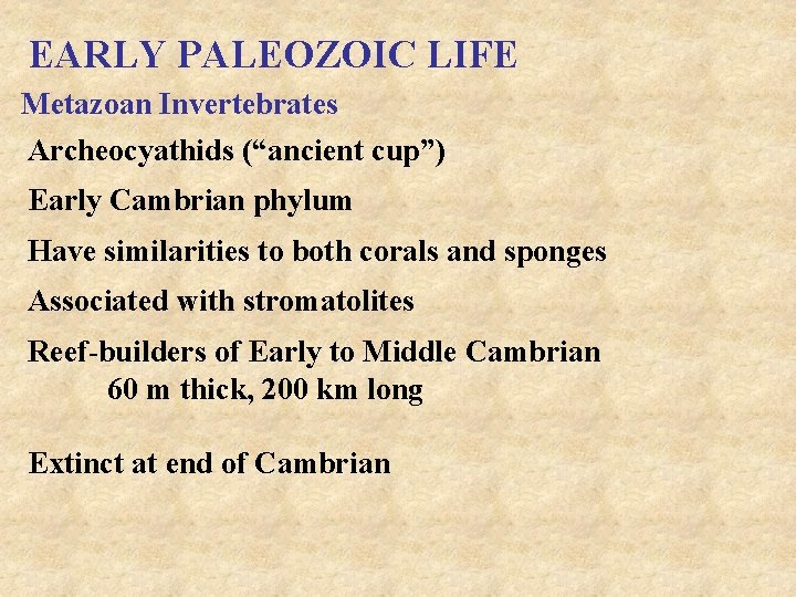 EARLY PALEOZOIC LIFE Metazoan Invertebrates Archeocyathids (“ancient cup”) Early Cambrian phylum Have similarities to