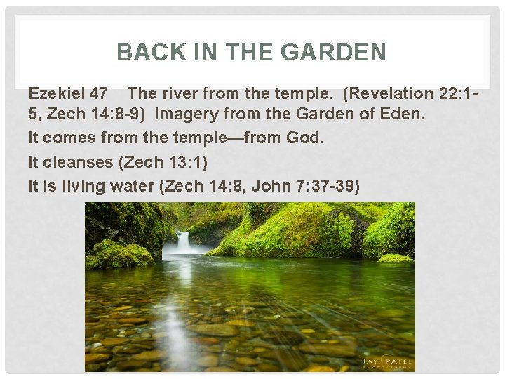 BACK IN THE GARDEN Ezekiel 47 The river from the temple. (Revelation 22: 15,