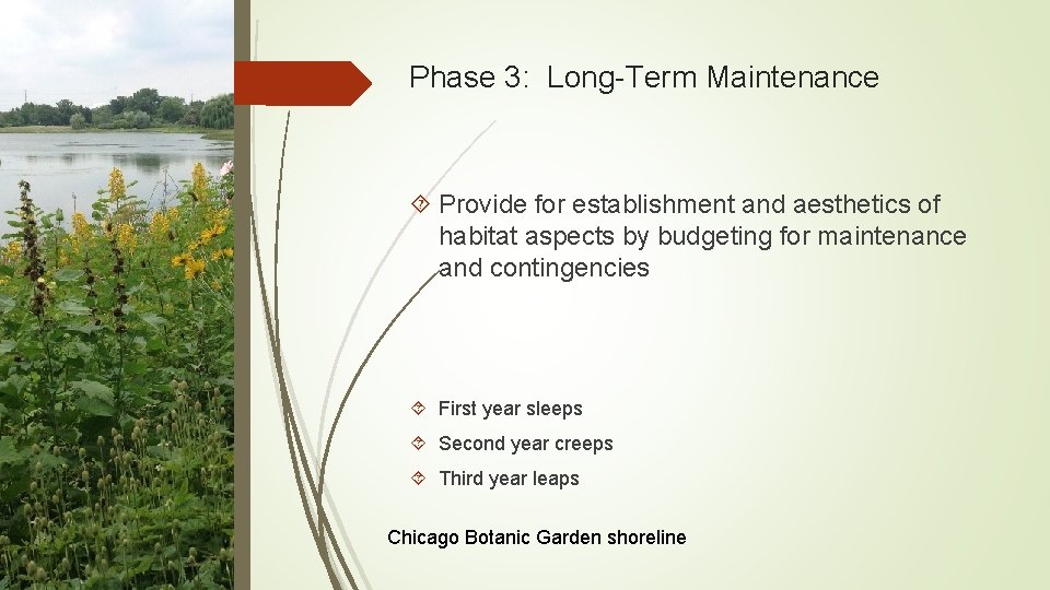 Phase 3: Long-Term Maintenance Provide for establishment and aesthetics of habitat aspects by budgeting