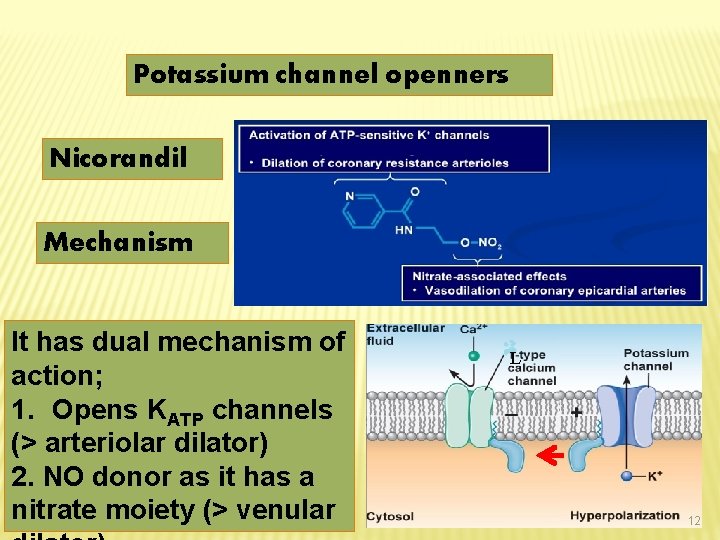 Potassium channel openners Nicorandil Mechanism It has dual mechanism of action; 1. Opens KATP