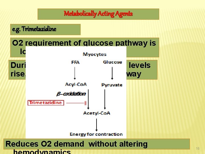 Metabolically Acting Agents e. g. Trimetazidine O 2 requirement of glucose pathway is lower