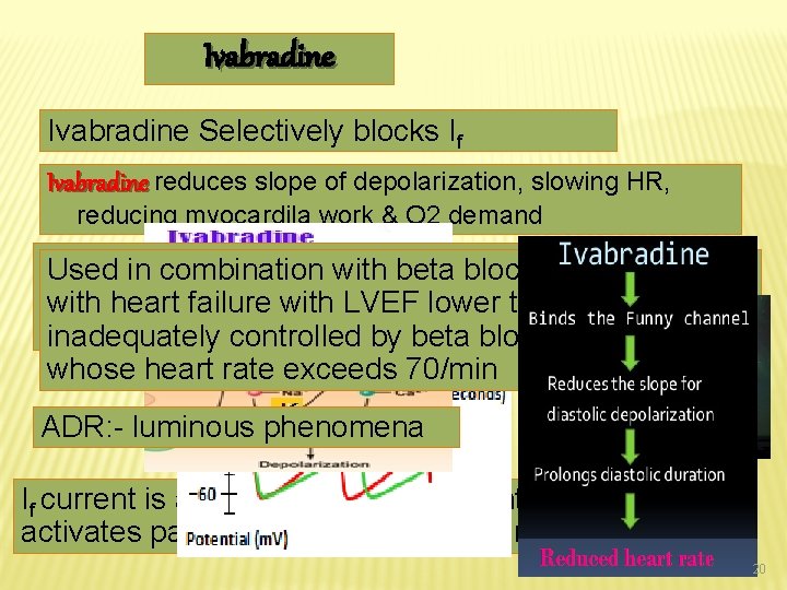 Ivabradine Selectively blocks If Ivabradine reduces slope of depolarization, slowing HR, reducing myocardila work