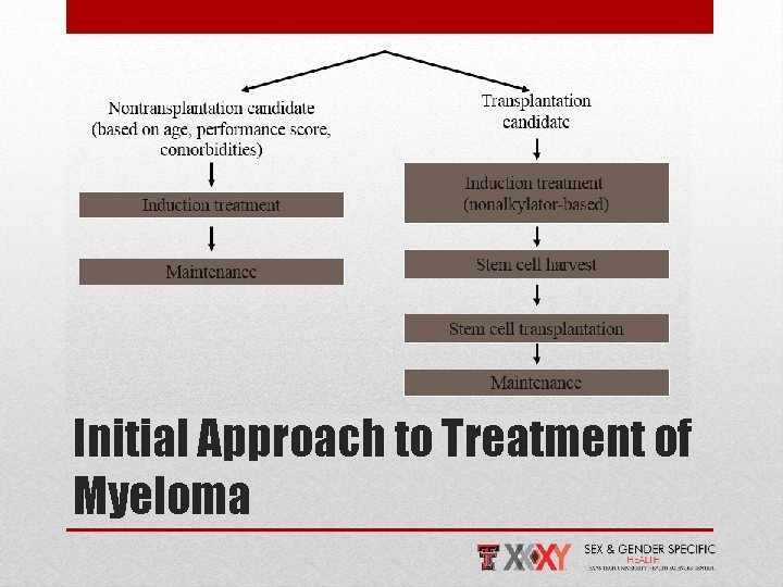 Initial Approach to Treatment of Myeloma 
