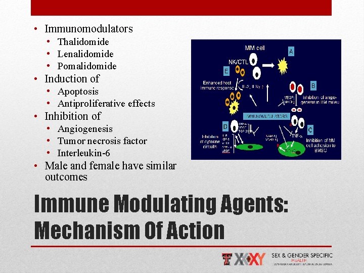  • Immunomodulators • Thalidomide • Lenalidomide • Pomalidomide • Induction of • Apoptosis