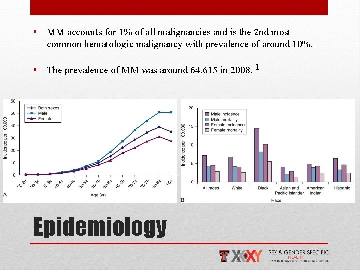  • MM accounts for 1% of all malignancies and is the 2 nd