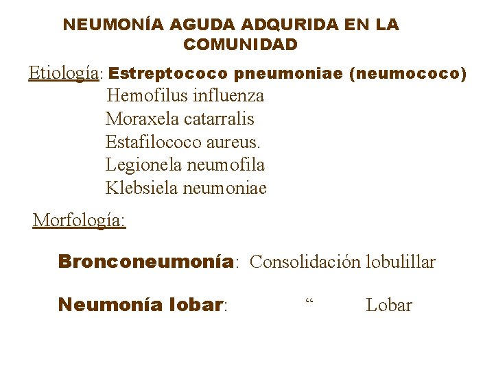 NEUMONÍA AGUDA ADQURIDA EN LA COMUNIDAD Etiología: Estreptococo pneumoniae (neumococo) Hemofilus influenza Moraxela catarralis