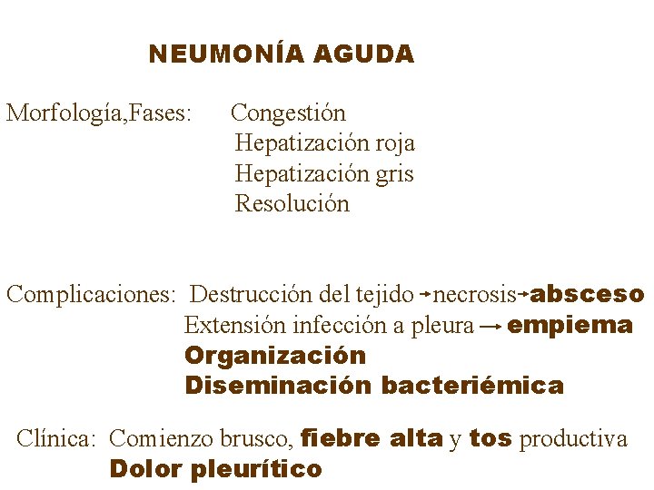 NEUMONÍA AGUDA Morfología, Fases: Congestión Hepatización roja Hepatización gris Resolución Complicaciones: Destrucción del tejido