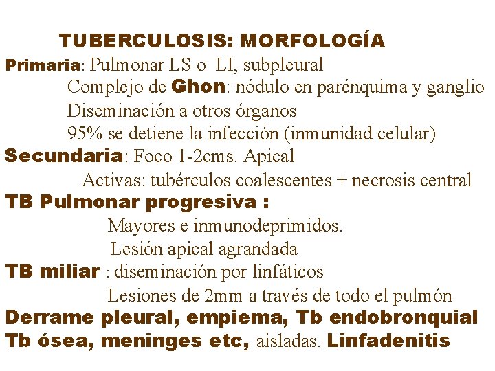 TUBERCULOSIS: MORFOLOGÍA Primaria: Pulmonar LS o LI, subpleural Complejo de Ghon: nódulo en parénquima