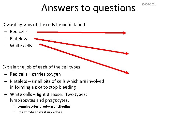 Answers to questions Draw diagrams of the cells found in blood – Red cells