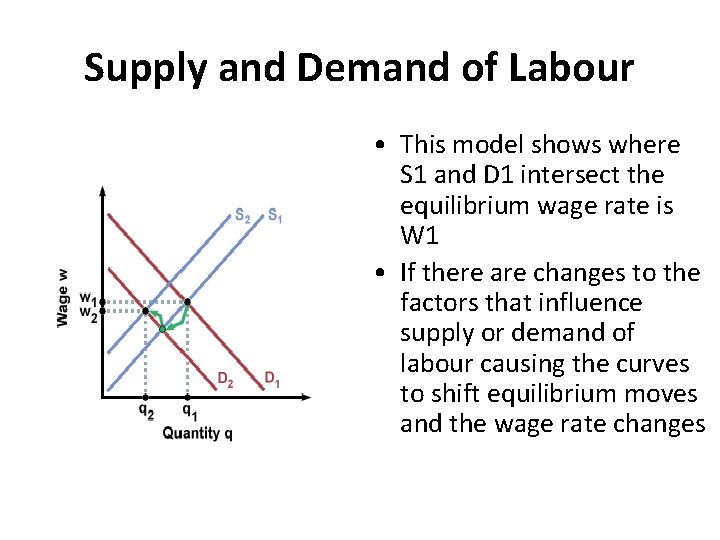 Supply and Demand of Labour • This model shows where S 1 and D