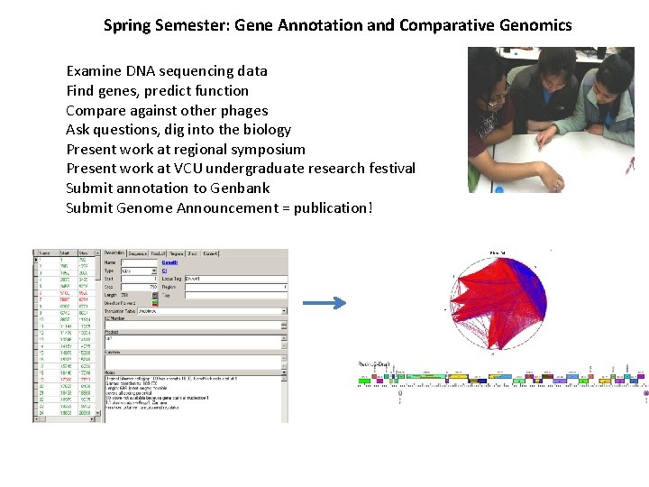 Spring Semester: Gene Annotation and Comparative Genomics Examine DNA sequencing data Find genes, predict