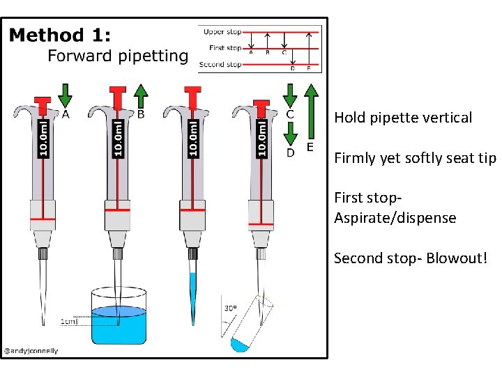 Hold pipette vertical Firmly yet softly seat tip First stop. Aspirate/dispense Second stop- Blowout!