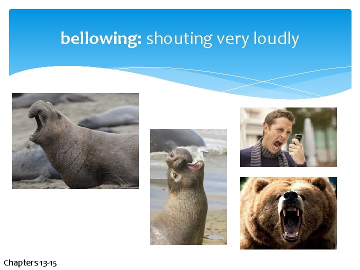 bellowing: shouting very loudly Chapters 13 -15 