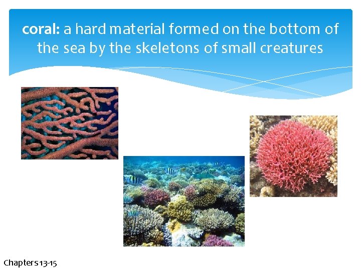 coral: a hard material formed on the bottom of the sea by the skeletons