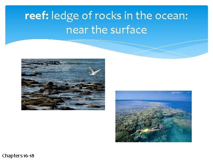 reef: ledge of rocks in the ocean: near the surface Chapters 16 -18 