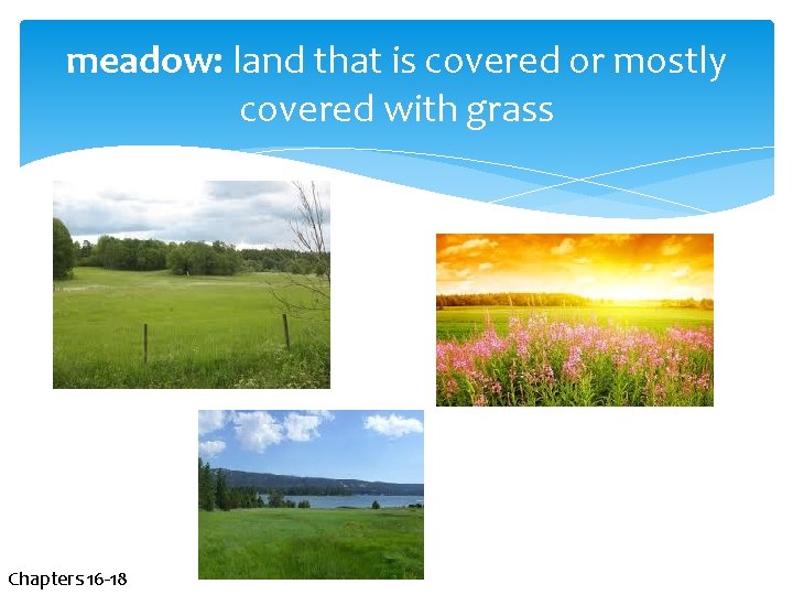 meadow: land that is covered or mostly covered with grass Chapters 16 -18 