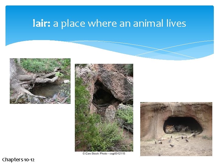 lair: a place where an animal lives Chapters 10 -12 