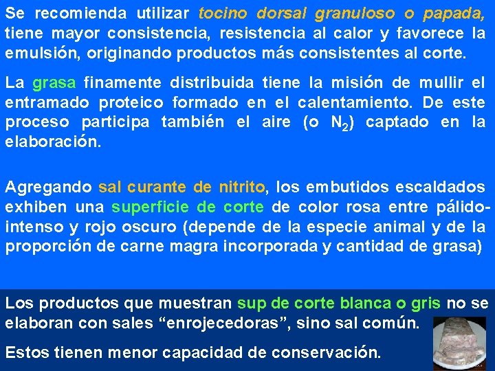 Se recomienda utilizar tocino dorsal granuloso o papada, tiene mayor consistencia, resistencia al calor