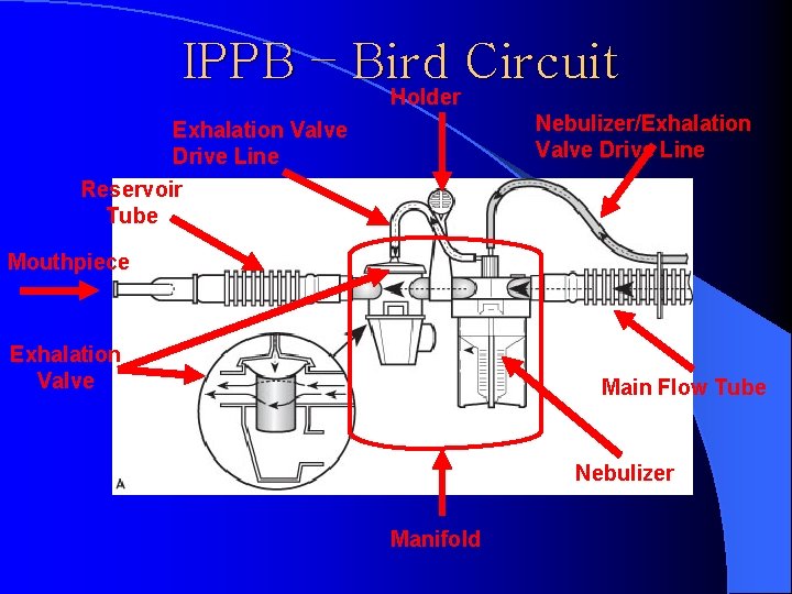 IPPB – Bird Circuit Holder Nebulizer/Exhalation Valve Drive Line Reservoir Tube Mouthpiece Exhalation Valve