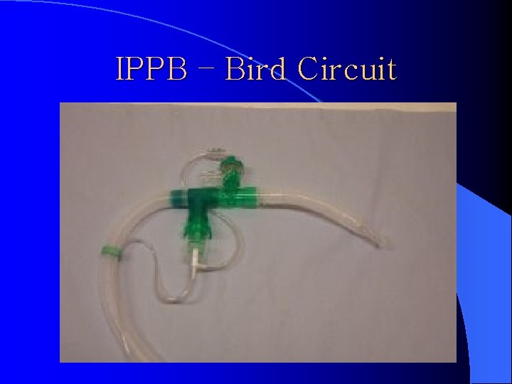 IPPB – Bird Circuit 