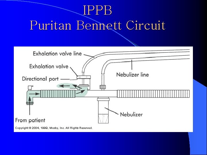 IPPB Puritan Bennett Circuit 