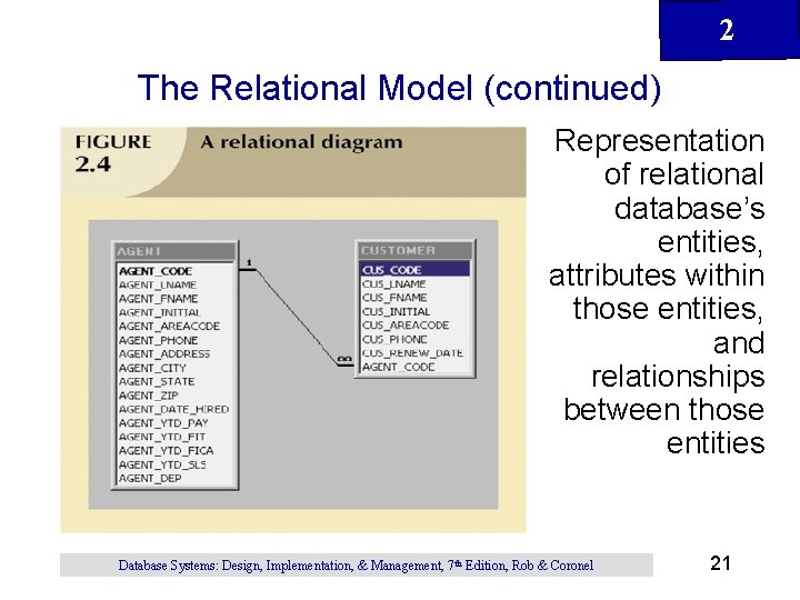 2 The Relational Model (continued) Representation of relational database’s entities, attributes within those entities,
