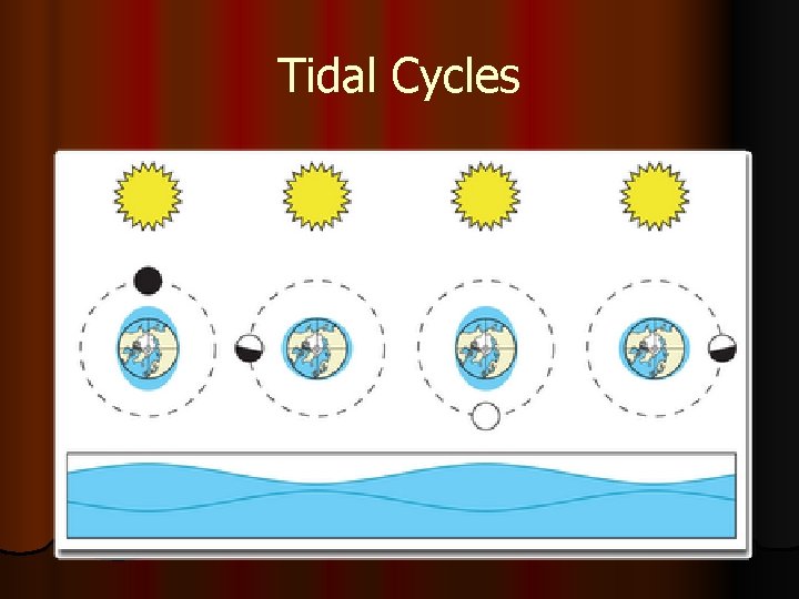 Tidal Cycles 