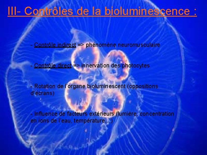 III- Contrôles de la bioluminescence : - Contrôle indirect => phénomène neuromusculaire - Contrôle