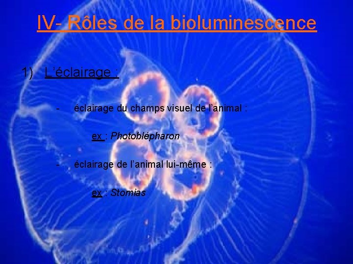 IV- Rôles de la bioluminescence 1) L’éclairage : - éclairage du champs visuel de