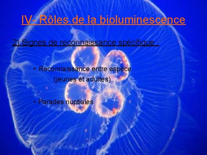 IV- Rôles de la bioluminescence 2) Signes de reconnaissance spécifique : - Reconnaissance entre