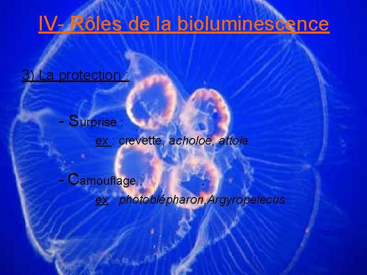 IV- Rôles de la bioluminescence 3) La protection : - Surprise : ex :