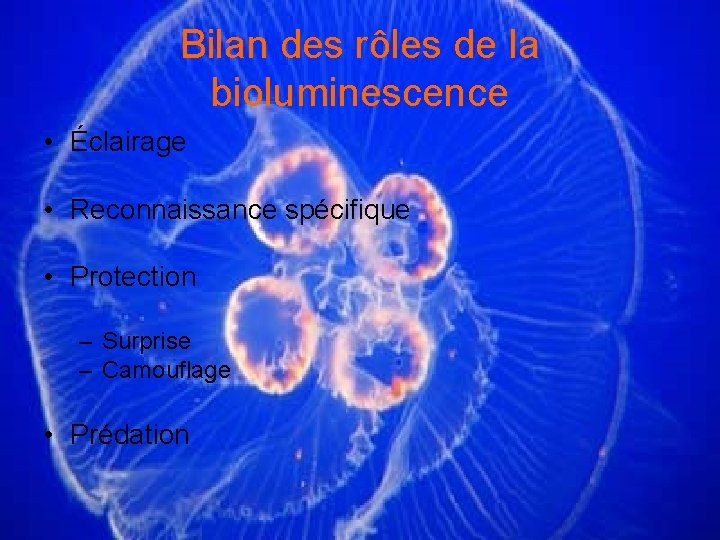 Bilan des rôles de la bioluminescence • Éclairage • Reconnaissance spécifique • Protection –