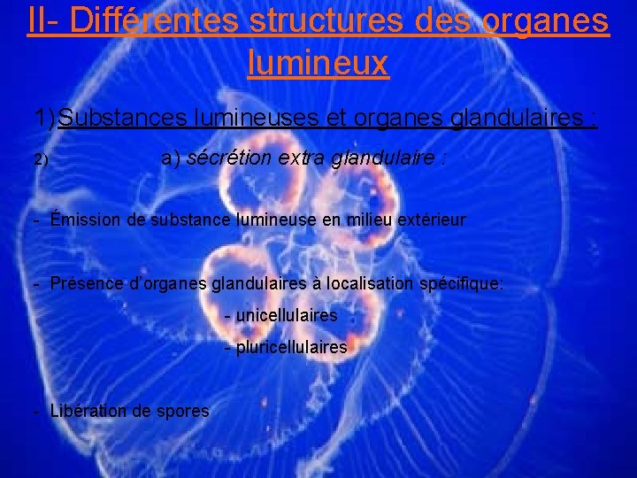 II- Différentes structures des organes lumineux 1) Substances lumineuses et organes glandulaires : 2)