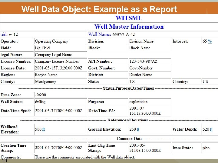 Well Data Object: Example as a Report 20 