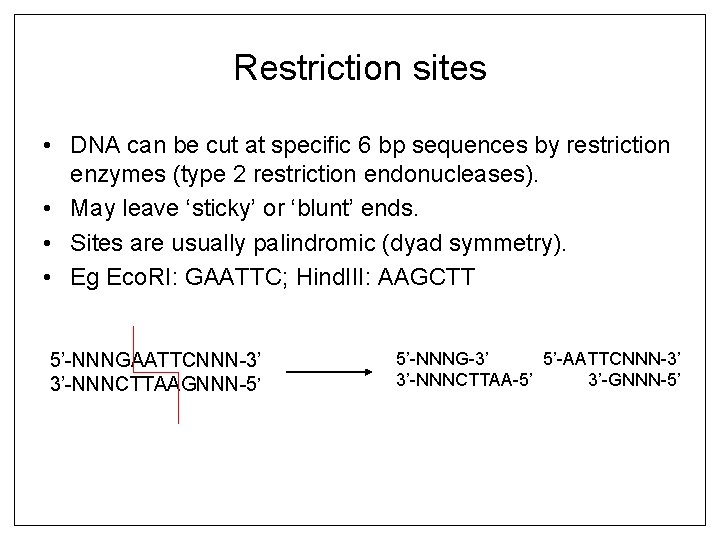Restriction sites • DNA can be cut at specific 6 bp sequences by restriction