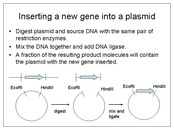 Inserting a new gene into a plasmid • Digest plasmid and source DNA with