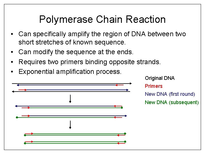 Polymerase Chain Reaction • Can specifically amplify the region of DNA between two short