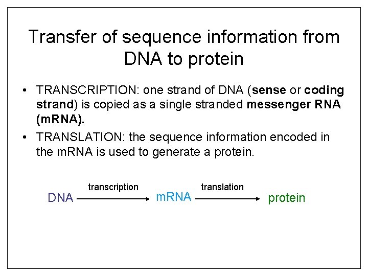 Transfer of sequence information from DNA to protein • TRANSCRIPTION: one strand of DNA