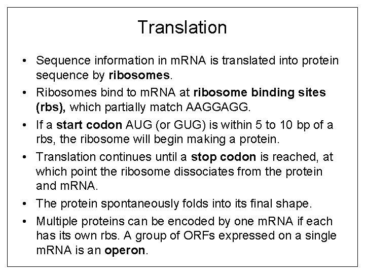 Translation • Sequence information in m. RNA is translated into protein sequence by ribosomes.